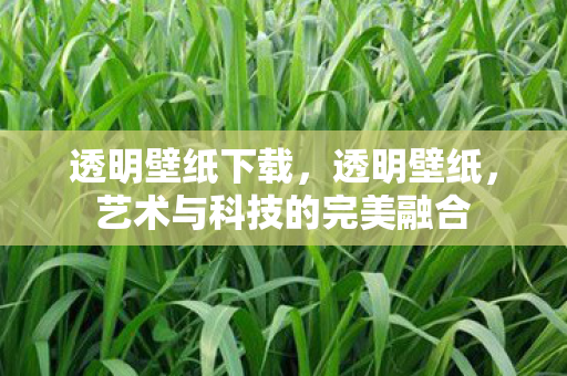 透明壁纸下载，透明壁纸，艺术与科技的完美融合