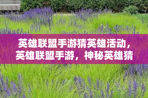 英雄联盟手游猜英雄活动，英雄联盟手游，神秘英雄猜想—暗影下的刺客