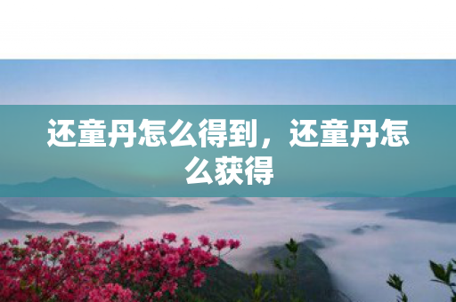 还童丹怎么得到，还童丹怎么获得