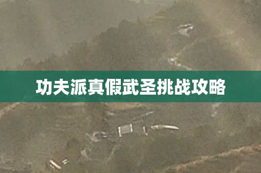 功夫派真假武圣挑战攻略