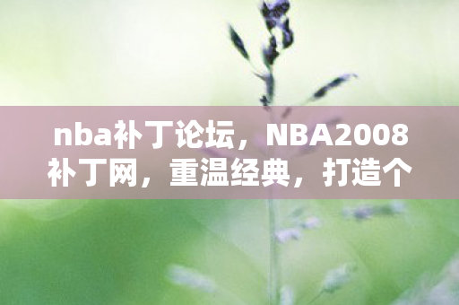 nba补丁论坛，NBA2008补丁网，重温经典，打造个性化游戏体验