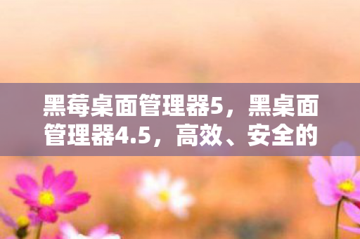 黑莓桌面管理器5，黑桌面管理器4.5，高效、安全的企业级桌面管理工具
