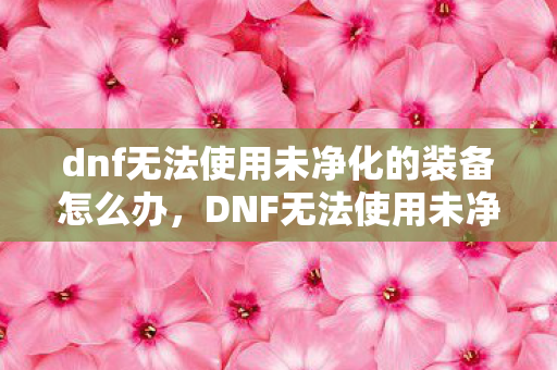 dnf无法使用未净化的装备怎么办，DNF无法使用未净化的装备，揭秘装备净化的奥秘与重要性