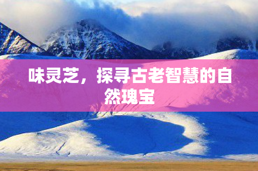 味灵芝，探寻古老智慧的自然瑰宝