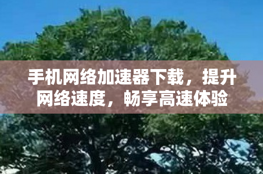 手机网络加速器下载，提升网络速度，畅享高速体验
