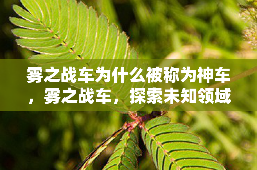 雾之战车为什么被称为神车，雾之战车，探索未知领域的奇幻之旅
