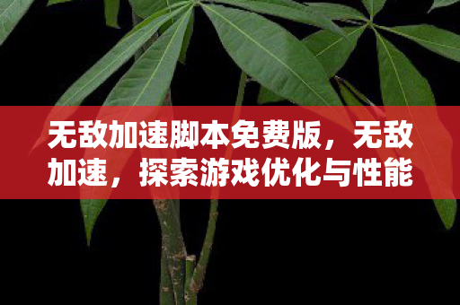 无敌加速脚本免费版，无敌加速，探索游戏优化与性能提升的奥秘