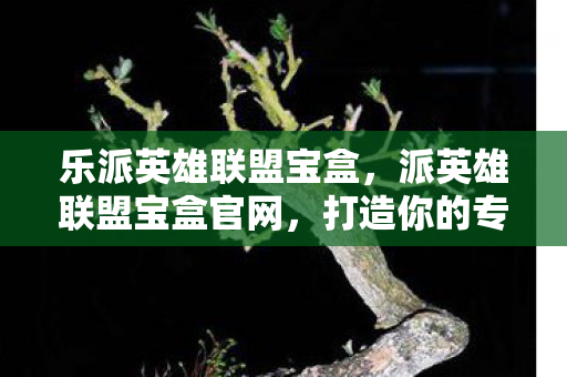 乐派英雄联盟宝盒，派英雄联盟宝盒官网，打造你的专属游戏天堂