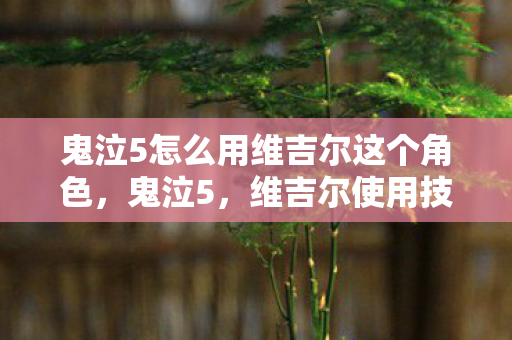 鬼泣5怎么用维吉尔这个角色,鬼泣5,维吉尔使用技巧大揭秘 鬼泣5怎么用维吉尔这个角色,鬼泣5,维吉尔使用技巧大揭秘