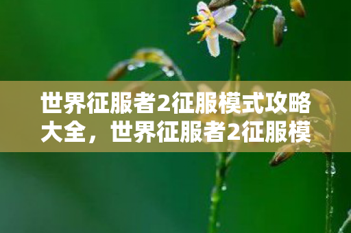 世界征服者2征服模式攻略大全，世界征服者2征服模式攻略
