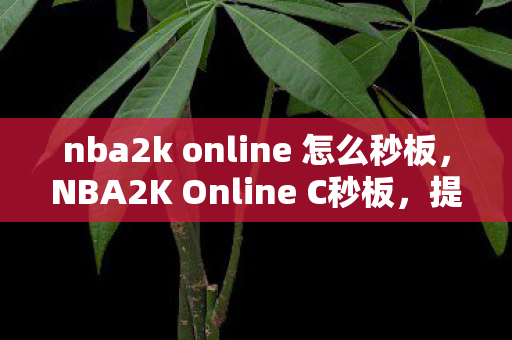 nba2k online 怎么秒板，NBA2K Online C秒板，提升游戏技巧与体验的关键