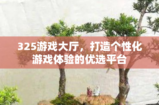 325游戏大厅，打造个性化游戏体验的优选平台