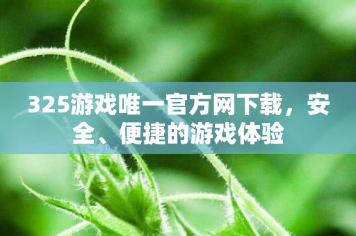 325游戏唯一官方网下载，安全、便捷的游戏体验