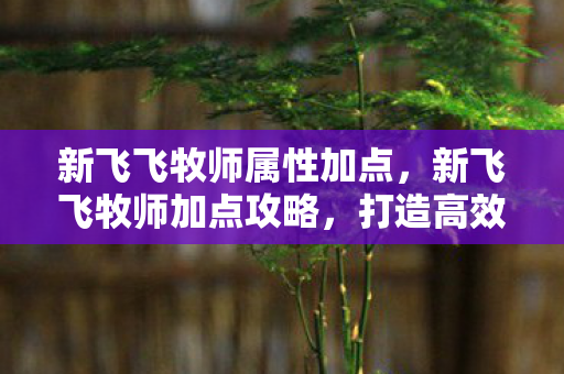 新飞飞牧师属性加点，新飞飞牧师加点攻略，打造高效治疗与辅助的加点方案