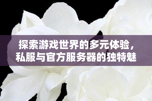 探索游戏世界的多元体验，私服与官方服务器的独特魅力