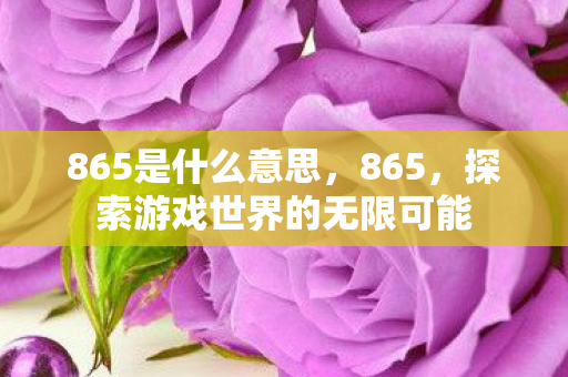 865是什么意思,865,探索游戏世界的无限可能 865是什么意思,865,探索游戏世界的无限可能