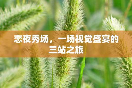 恋夜秀场，一场视觉盛宴的三站之旅