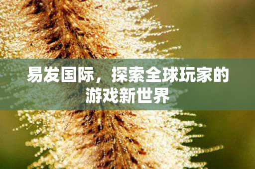 易发国际,探索全球玩家的游戏新世界 易发国际,探索全球玩家的游戏新世界