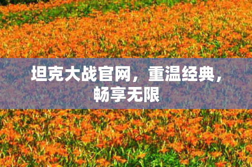 坦克大战官网，重温经典，畅享无限
