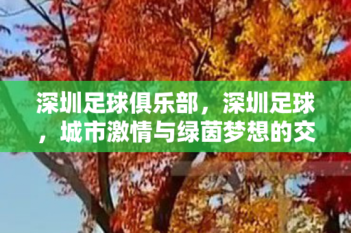 深圳足球俱乐部,深圳足球,城市激情与绿茵梦想的交响曲 深圳足球俱乐部,深圳足球,城市激情与绿茵梦想的交响曲