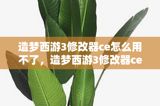 造梦西游3修改器ce怎么用不了,造梦西游3修改器ce怎么用 造梦西游3修改器ce怎么用不了,造梦西游3修改器ce怎么用