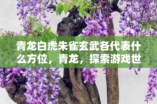 青龙白虎朱雀玄武各代表什么方位，青龙，探索游戏世界的无限可能