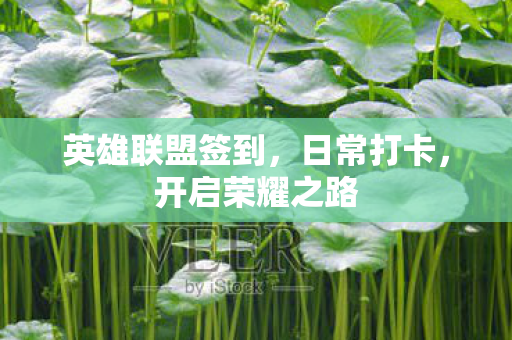 英雄联盟签到，日常打卡，开启荣耀之路