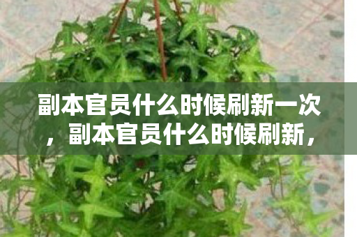 副本官员什么时候刷新一次,副本官员什么时候刷新,揭秘游戏更新机制与策略 副本官员什么时候刷新一次,副本官员什么时候刷新,揭秘游戏更新机制与策略