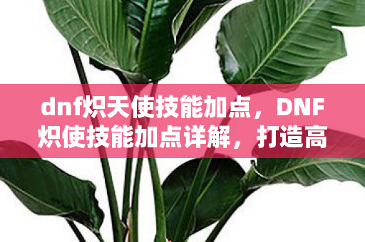 dnf炽天使技能加点，DNF炽使技能加点详解，打造高效战斗体验