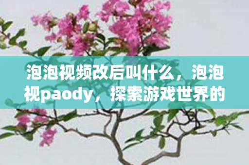 泡泡视频改后叫什么,泡泡视paody,探索游戏世界的无限可能 泡泡视频改后叫什么,泡泡视paody,探索游戏世界的无限可能