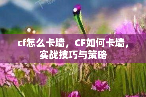 cf怎么卡墙，CF如何卡墙，实战技巧与策略