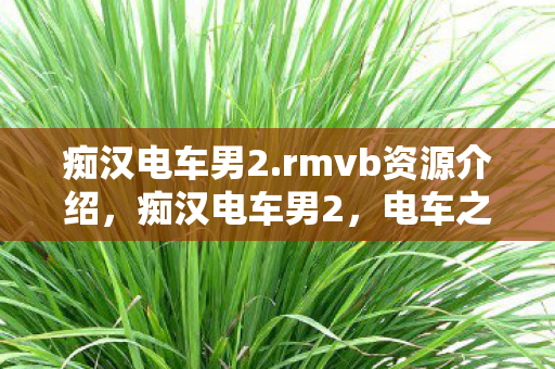 痴汉电车男2.rmvb资源介绍，痴汉电车男2，电车之旅的奇幻冒险