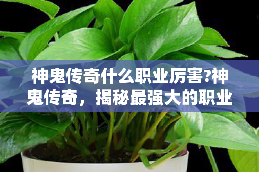 神鬼传奇什么职业厉害?神鬼传奇,揭秘最强大的职业 神鬼传奇什么职业厉害?神鬼传奇,揭秘最强大的职业