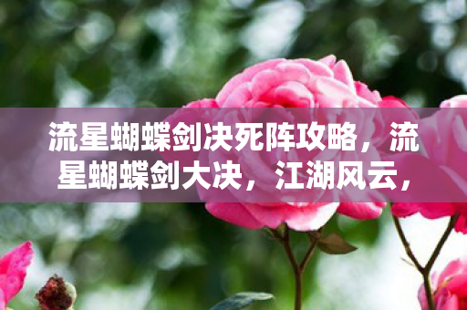 流星蝴蝶剑决死阵攻略，流星蝴蝶剑大决，江湖风云，剑影刀光