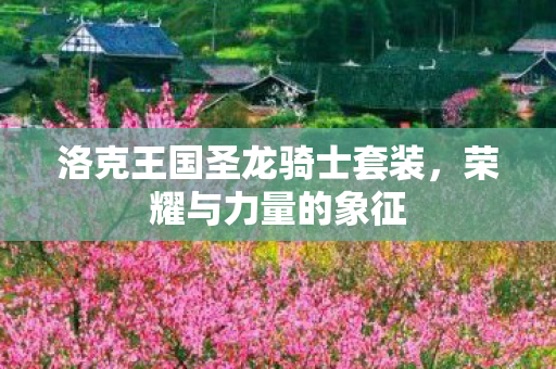 洛克王国圣龙骑士套装，荣耀与力量的象征