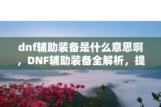 dnf辅助装备是什么意思啊，DNF辅助装备全解析，提升战斗力的关键要素