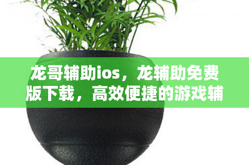 龙哥辅助ios，龙辅助免费版下载，高效便捷的游戏辅助工具