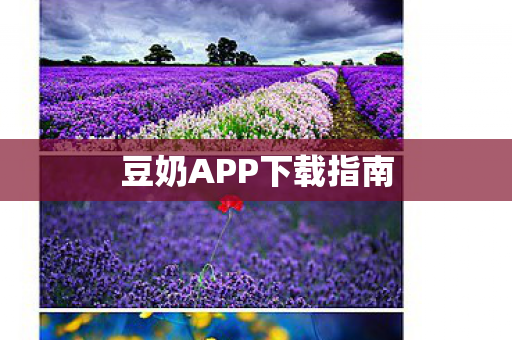 豆奶APP下载指南