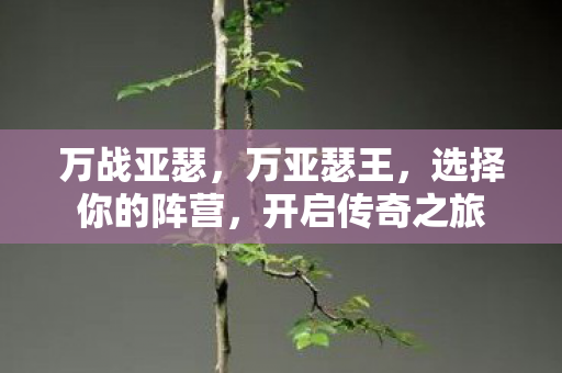 万战亚瑟,万亚瑟王,选择你的阵营,开启传奇之旅 万战亚瑟,万亚瑟王,选择你的阵营,开启传奇之旅