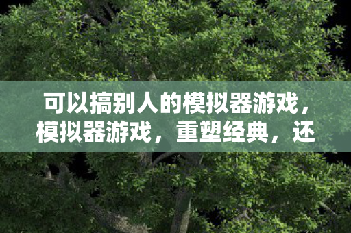 可以搞别人的模拟器游戏,模拟器游戏,重塑经典,还是另辟蹊径? 可以搞别人的模拟器游戏,模拟器游戏,重塑经典,还是另辟蹊径?