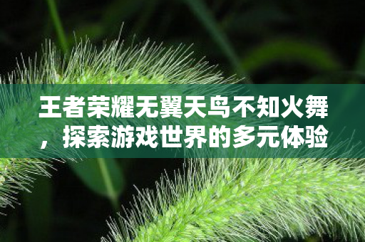 王者荣耀无翼天鸟不知火舞,探索游戏世界的多元体验,私服与官方服务器的独特魅力 王者荣耀无翼天鸟不知火舞,探索游戏世界的多元体验,私服与官方服务器的独特魅力