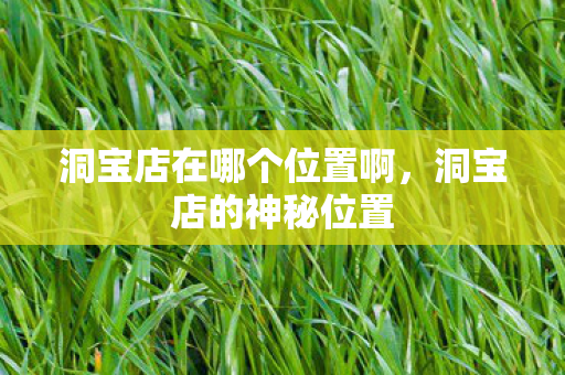 洞宝店在哪个位置啊,洞宝店的神秘位置 洞宝店在哪个位置啊,洞宝店的神秘位置