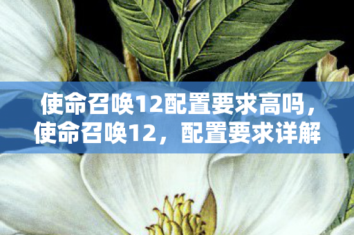 使命召唤12配置要求高吗,使命召唤12,配置要求详解 使命召唤12配置要求高吗,使命召唤12,配置要求详解