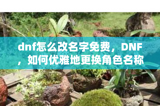 dnf怎么改名字免费,DNF,如何优雅地更换角色名称 dnf怎么改名字免费,DNF,如何优雅地更换角色名称