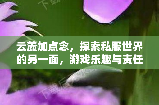 云麓加点念，探索私服世界的另一面，游戏乐趣与责任并存