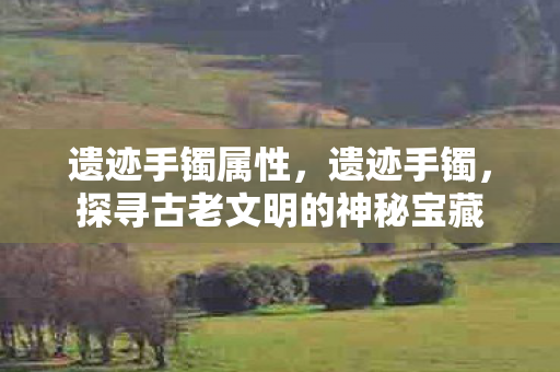 遗迹手镯属性，遗迹手镯，探寻古老文明的神秘宝藏