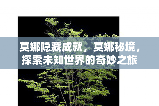 莫娜隐藏成就，莫娜秘境，探索未知世界的奇妙之旅