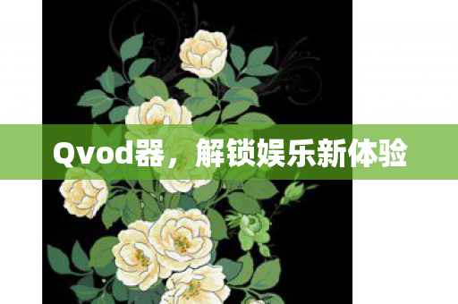 Qvod器，解锁娱乐新体验