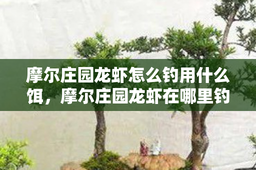 摩尔庄园龙虾怎么钓用什么饵，摩尔庄园龙虾在哪里钓