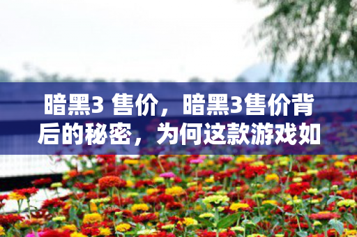 暗黑3 售价，暗黑3售价背后的秘密，为何这款游戏如此受欢迎？